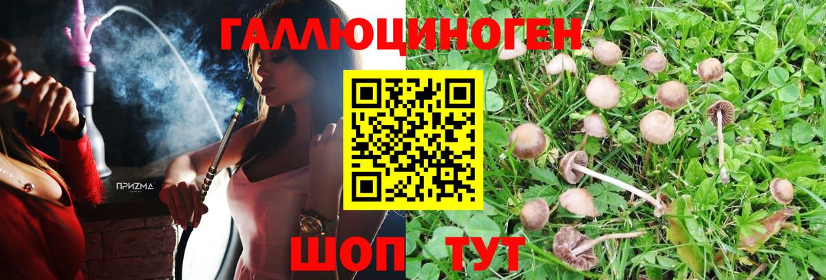 Псилоцибиновые грибы ЛСД Киржач